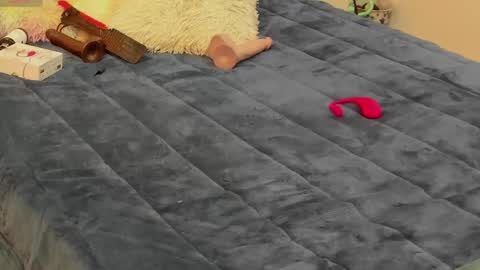 Brenda online show from March 8, 12:18 pm