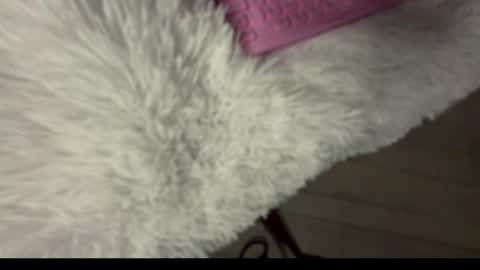 D online show from March 19, 10:41 am