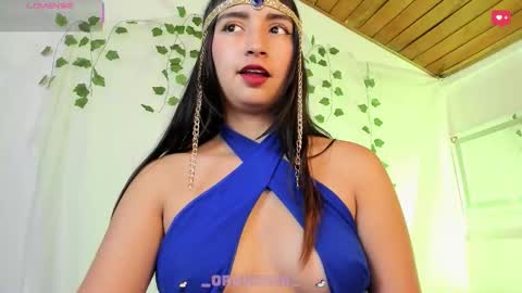 Orquidea  online show from February 28, 2:16 pm