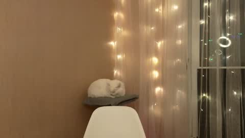 my inst   love inside 17 online show from December 8, 8:36 pm