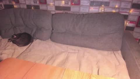 Victoria online show from April 12, 8:55 pm