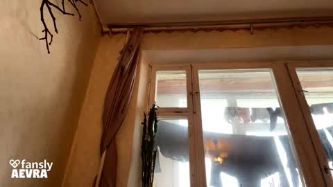 vegans taste better online show from October 18, 6:27 am