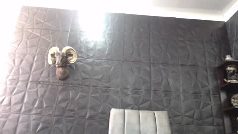 Snapshot of agata_darkness chatting on January 13, 5:12 pm Miss Agata online show from January 13, 5:12 pm