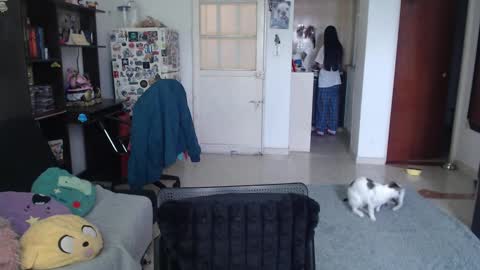 Snapshot of aizen_myo chatting on September 24, 2:49 pm Aizen My- online show from September 24, 2:49 pm