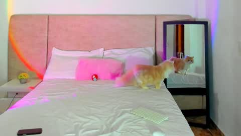             online show from December 30, 11:26 am