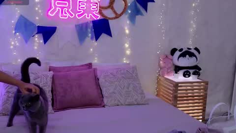 Alice in Wonderland  online show from September 29, 5:23 am