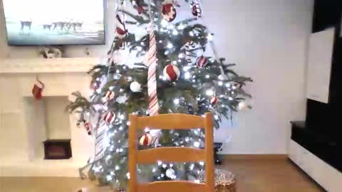 Alice and Sean online show from January 8, 9:30 pm