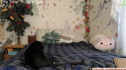 Alice Rivers ---- Enter my public Discord-  online show from January 18, 8:40 pm