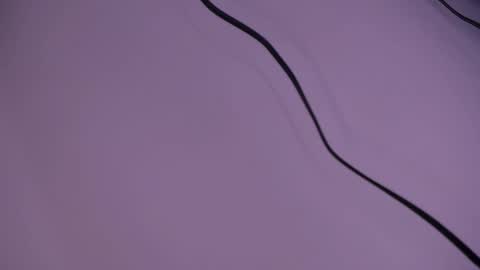 alison smith online show from December 5, 12:11 pm