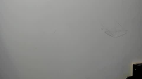 alison smith online show from December 19, 7:51 pm