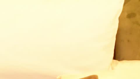 Amelia online show from January 9, 6:06 am