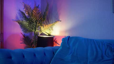  Amelia  online show from November 8, 11:21 pm