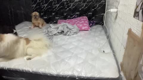 callmekianna online show from October 17, 12:47 am