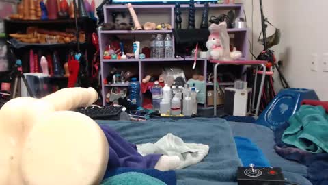 Twitter at animegamergrl. No vids for sale on Chaturbate. online show from February 26, 9:18 pm