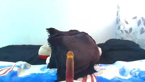 ANTONELLA WILLIAM  INDEPENDIENTE online show from February 6, 1:21 pm