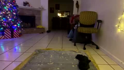 Snapshot of aprilanna chatting on December 25, 1:10 am AnnaApril420 online show from December 25, 1:10 am