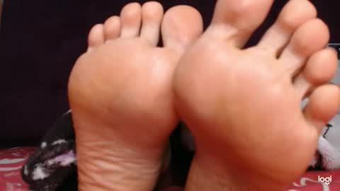 ashley online show from November 28, 2:25 am