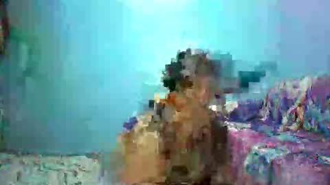 ann online show from April 26, 4:27 pm