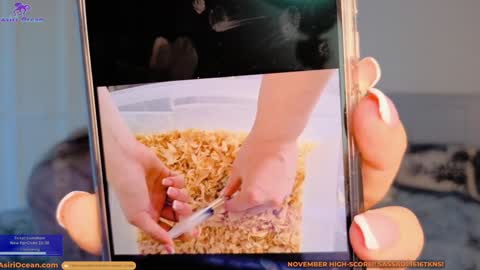 Asiri   pronounced Ah-siri Please no nicknames   3 online show from November 16, 1:18 am