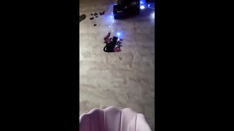 Ayanna online show from December 3, 7:55 am