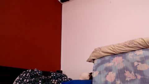Snapshot of bayonette_black chatting on March 1, 11:39 am bayonette_black online show from March 1, 11:39 am