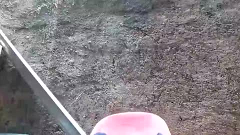 Tezza online show from February 28, 5:48 am