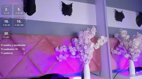 Bella online show from November 11, 2:14 pm