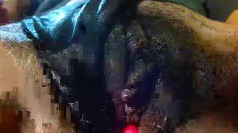 Bethany Wilson online show from September 20, 9:46 pm