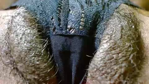 Bethany Wilson online show from January 10, 4:20 pm