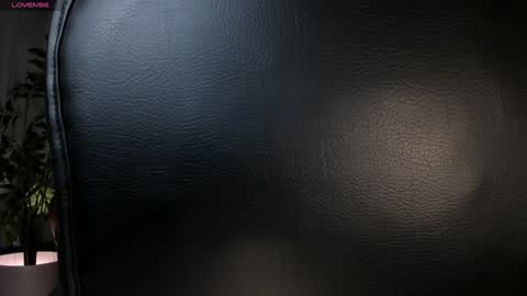 Snapshot of biancapierce_ chatting on January 23, 11:48 am Bianca Pierce online show from January 23, 11:48 am