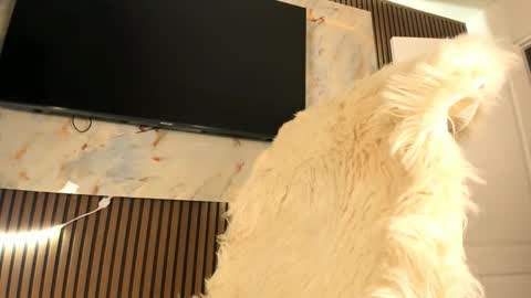 Karina online show from September 20, 1:59 am