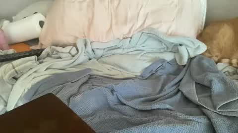 IM TRYNG online show from November 12, 6:39 pm