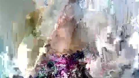 bombshell_seinnax online show from January 16, 2:30 pm