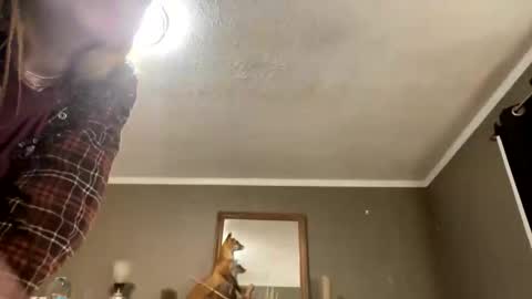 bps276 online show from February 20, 8:27 am