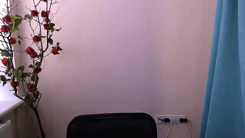 Ariel online show from November 6, 8:09 am