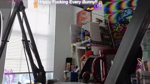 Tokki  bunny  online show from January 16, 7:20 pm