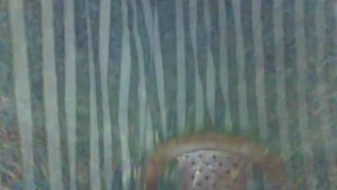 burbuja2710404 online show from November 7, 4:29 am