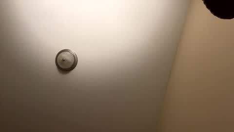 buschbaby online show from March 13, 8:04 am