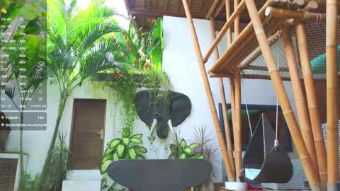 Violetta online show from February 20, 6:26 am