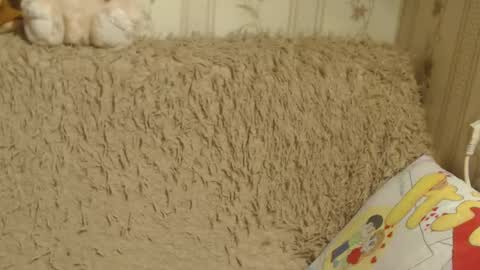 say meow and send tips  online show from January 19, 3:53 pm