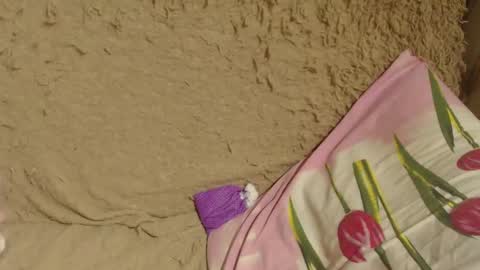 say meow and send tips  online show from December 19, 2:34 am