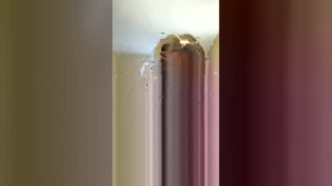 carebear5719 online show from February 28, 10:09 pm