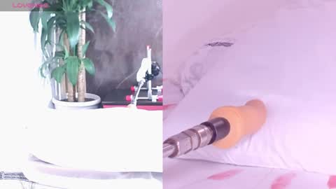 Carol online show from April 16, 11:10 am