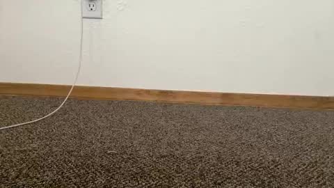 cash13bychanel online show from November 3, 7:18 pm