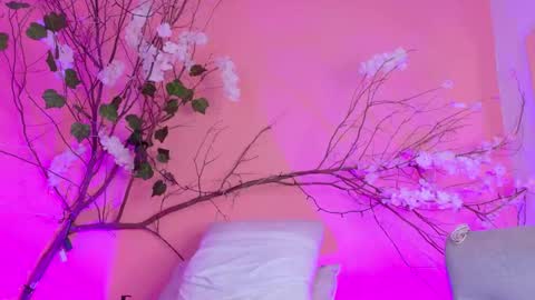 CHARLOTTE online show from March 19, 12:09 pm