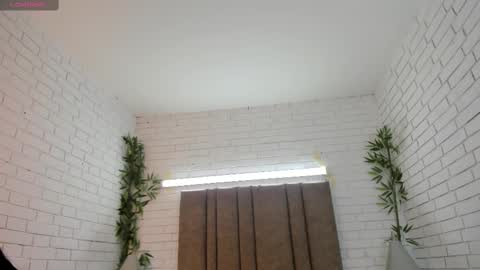 Charlotte  Everyday From 0700 to 1300 Col Time online show from March 4, 10:57 am