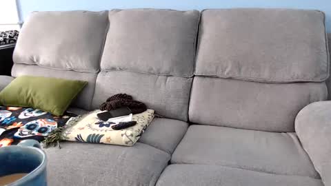 Chelsea online show from February 2, 4:50 pm