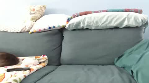 Chelsea online show from February 17, 6:06 pm