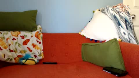 Chelsea online show from September 29, 2:22 pm