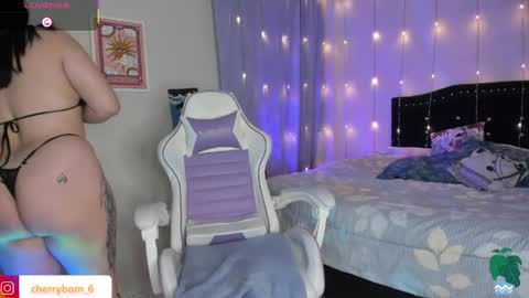  dayis independent model  online show from April 2, 1:58 am